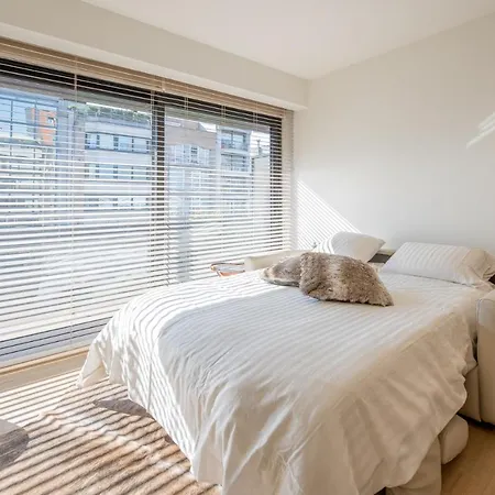 Cosy Coast Daire Knokke-Heist